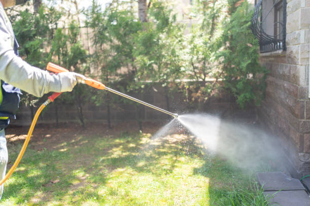 Best Fumigation Services  in Roseburg, OR